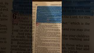 Ephesians 52533 part 2  Daily Scripture 2024  bible biblereading shorts [upl. by Berni]