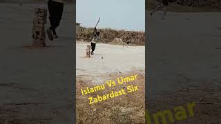 viralvideo cricket cricketlover cricketfan [upl. by Acira]