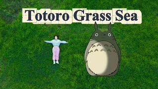 China Travel Real Version Of Totoro Grass Sea Cover ​​3 million square meters Beautiful Sea Train [upl. by Mosa]