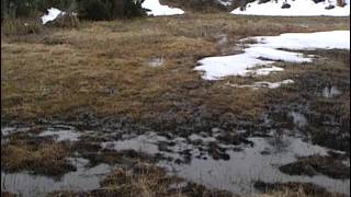 Randonnées dans les Pyrénées  Documentaire nature [upl. by Adne318]