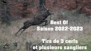 Chasse Cerfs Sangliers Chevreuils  Best Of 20222023 [upl. by Yemaj]