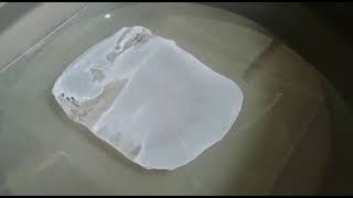 Flat Sheet Membrane Fabrication Polysulfone PS Membrane Casting Using Rod [upl. by Jeannine]