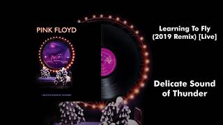 Pink Floyd  Learning to Fly 2019 Remix Live Official Audio [upl. by Ertnod]