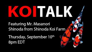 Koi Talk Series Vol 5 Featuring Shinoda Koi Farm  History Challenges and Champion Bloodline [upl. by Borries]