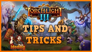 Torchlight 3 Tips and Tricks [upl. by Adnot]