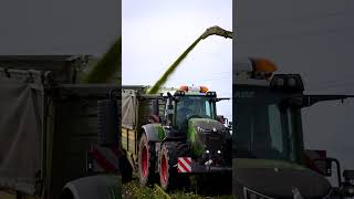 Effizienz durch Teamwork beim Maishäckseln 🌽🚜  Janssen Rhede [upl. by Karalee131]