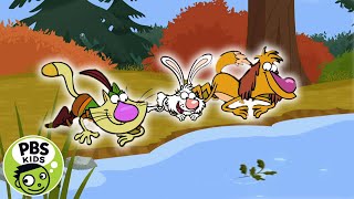 Nature Cat  Make a Mini Sailboat  PBS KIDS [upl. by Inele796]