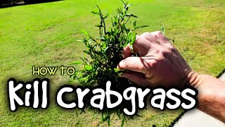 Best Time To Kill Crabgrass  What To Use And Why [upl. by Whitver]