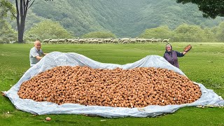 Organic Walnut Harvest Making Lots of Delicious Walnut Jam in the Village [upl. by Highams876]