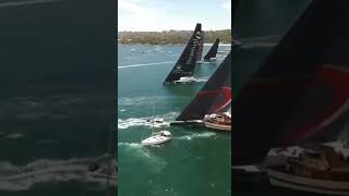 Enormous Sail Boat Carves Through Smaller Boats To Avoid Crash Awesome Driving boat [upl. by Arevle625]