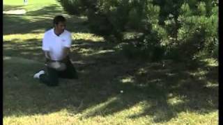 The magic of Seve Ballesteros RIP  5 of his very best moments in Golf GolfGooncom [upl. by Cuda]