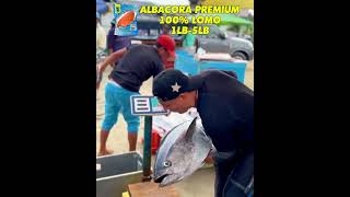 Descubre la calidad premium de nuestra albacora 🐟 Ideal para el mejor encebollado ecuatoriano 🇪🇨 [upl. by Rechaba]