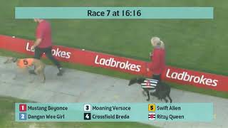 Crayford Greyhounds Races on 1st November 2024 [upl. by Kristal]