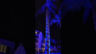 Night Lights at The Morgan Beach Resort St Maarten  Windstar Wind Surf Cruise Tour Review 2024 [upl. by Sadira337]