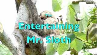 The Entertaining Mr Sloth [upl. by Wehtta]