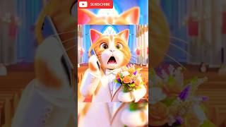 Accident during wedding of cat 😮 ytshorts youtubeshorts entertainment viralvideo [upl. by Ahsercul]