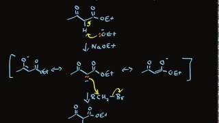 Acetoacetic Ester Synthesis of Methyl Ketones [upl. by Annaliese]