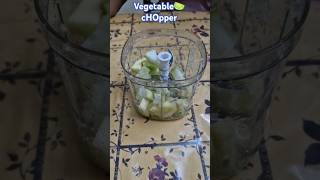 Vegetable 🍋‍🟩 Chopper Vegetable chopper trending new pappaya make life easy trending share [upl. by Nealy]