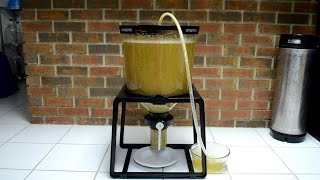 The Catalyst Fermentation System A HandsOn Review [upl. by Kenlay]