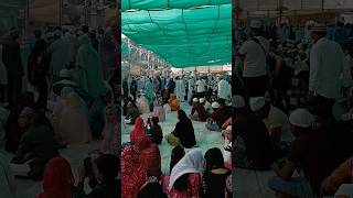 Ajmer shariff dargha khwajagaribnawaz ajmer kgnstatus ytshortsvideo [upl. by Blanca782]