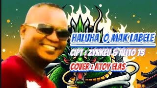 LAGU TETUMTIMOR  HALUHA O MAK LA BELE  Comp by  Zhynkeu amp Alito 75  Cover by  Atoy Elas [upl. by Raine]