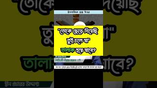 ঘন ঘন quotতোকে ছেড়ে দিয়েছি তুই চলেযাquot বললে কি তালাক হয়ে যাবে EP217Q10  QNA ISLAM [upl. by Dietsche]