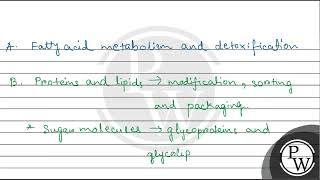 Which is the important site of formation of glycoproteins and glycolipids in eukaryotic cells [upl. by Yared]