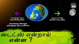 டைட்ஸ் என்றால் என்ன  What are tides and how are they caused in Tamil [upl. by Winzler]