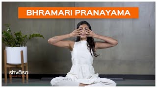 Bhramari Pranayama  Bhramari Pranayama for Beginners  Bhramari Pranayama Breathing Exercise [upl. by Zulema]