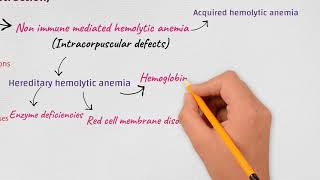 Anemia ClassificationEtiologicalMorphologicalHemolytic [upl. by Chaffin]