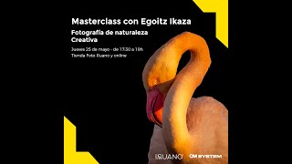 Masterclass con Egoitz Ikaza [upl. by Quiteris184]