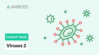 Viruses  Part 2 DNA vs RNA Viruses [upl. by Ataeb]