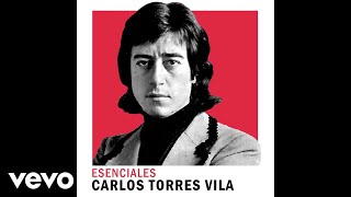 Carlos Torres Vila  Calle Angosta Official Audio [upl. by Penelope319]