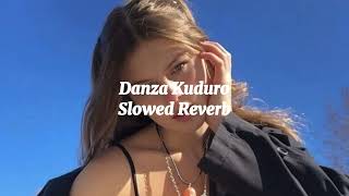 Don Omar  Danza Kuduro  Slowed Reverb [upl. by Tur208]