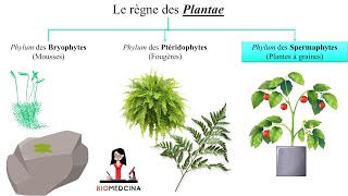 Biologie Végétale ملخص بسيط [upl. by Bernadene]