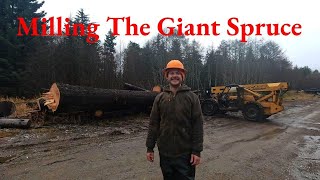 Milling The Giant Spruce [upl. by Kuska]