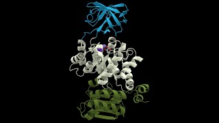 Ribozyme and Isozymes Part 1 [upl. by Seravaj499]