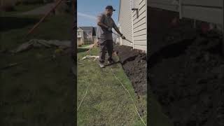 Satisfying Lawn Edging  Razor Sharp and Crisp Edges lawn shorts [upl. by Rolo815]