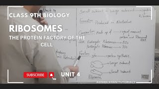 Ribosomes The Cell’s proteins factory  Class 9th Biology Unit 4th  Chapter 4 Biology 9th Class [upl. by Sellig767]