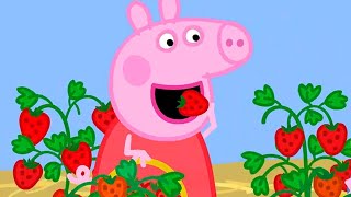 Peppa Pig Full Episodes  Season 8  Compilation 47  Kids Video [upl. by Eylhsa]