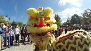 The Confucius Institute at UMD [upl. by Perni]