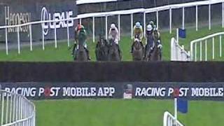 Racing Post Novice Chase 2011 [upl. by Mulry741]