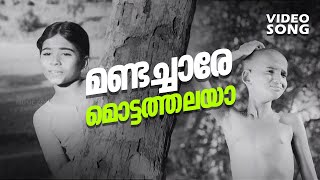 Mandachaare Mottathalaya Super Hit Malayalam Comedy Song  Sindooracheppu  Old is Gold [upl. by O'Doneven]