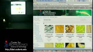 Handson Spectrophotometry with Light Sources [upl. by Alicea674]