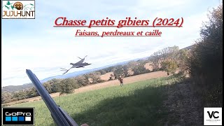 Petits gibiers 2024 Faisans perdreaux et caille [upl. by Cherin]