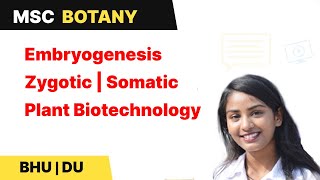 Plant Tissue Culture  Embryogenesis  Zygotic  Somatic  Plant Biotechnology  BHU  DU In Hindi [upl. by Adnawt]