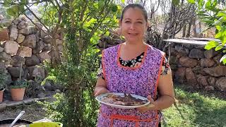 quotcarne asada a la parrillaquot cocinandoalfogón comidacocinandoenelrancho [upl. by Enerod]