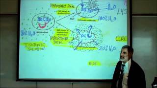 DIFFUSION OSMOSIS amp ACTIVE XPORT ACROSS CELL MEMBRANES by Professor Fink [upl. by Eilrebmik]