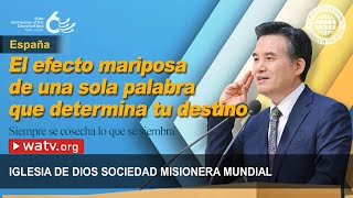 Siempre se cosecha lo que se siembra  IDDSMM Dios Madre [upl. by Rosana]