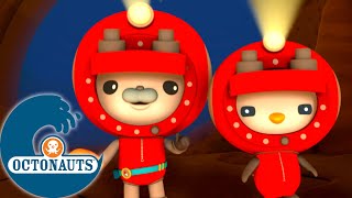 Octonauts  Le siphonophore et les ours aquatiques  Dessins animés pour enfants [upl. by Millburn]